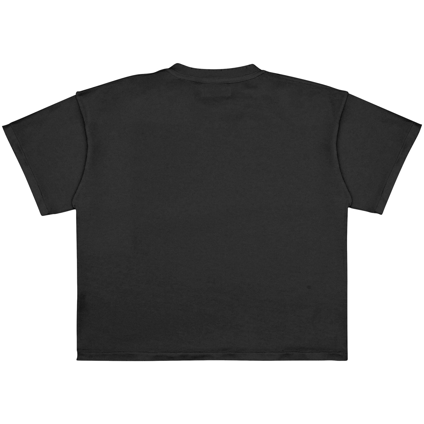 00 - CAMISETA BOXYFIT GRIS